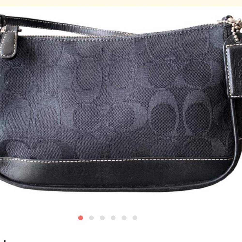 Coach Signature Demi Pouch
